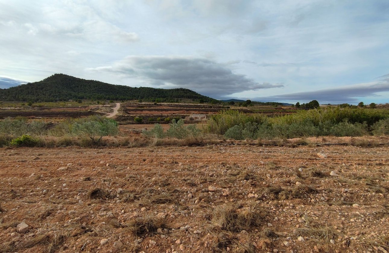 Használt ingatlanok - land -
Monóvar - Monòver - Monóvar - Monòver Centro