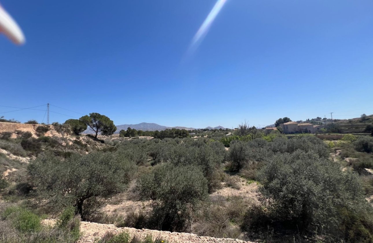 Használt ingatlanok - land -
Monóvar - Monòver - Monóvar - Monòver Centro