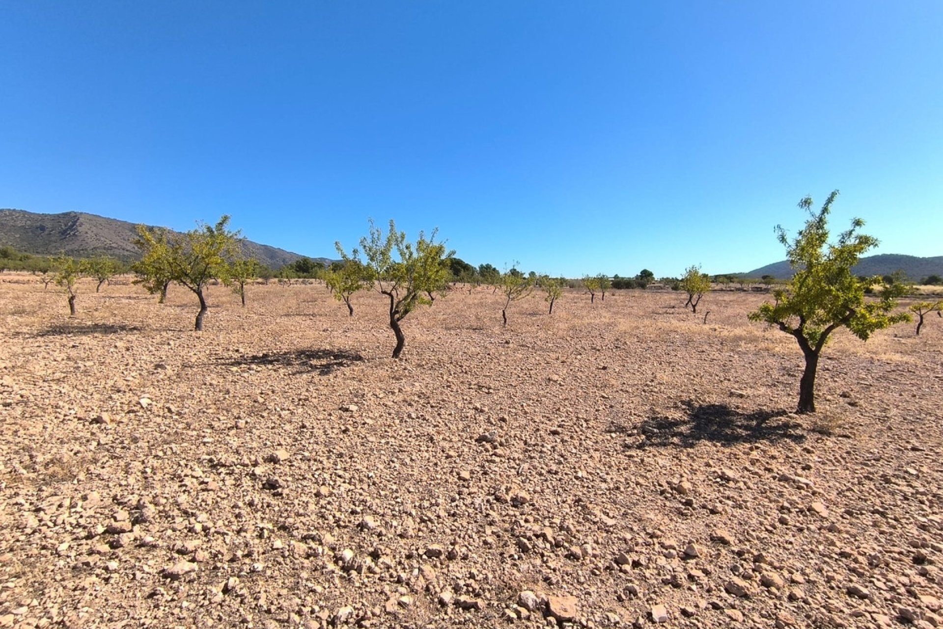 Használt ingatlanok - land -
Monóvar - Monòver - Monóvar - Monòver Centro