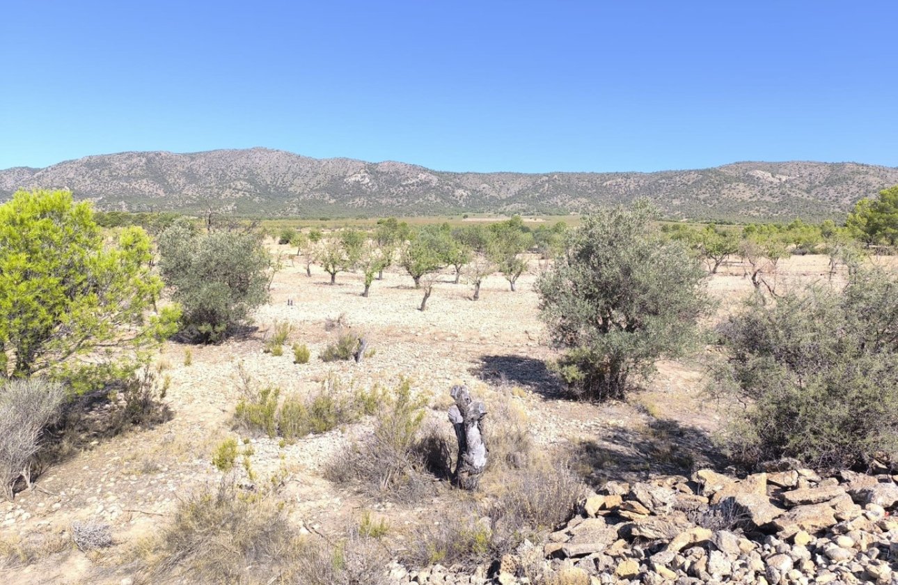 Használt ingatlanok - land -
Monóvar - Monòver - Monóvar - Monòver Centro