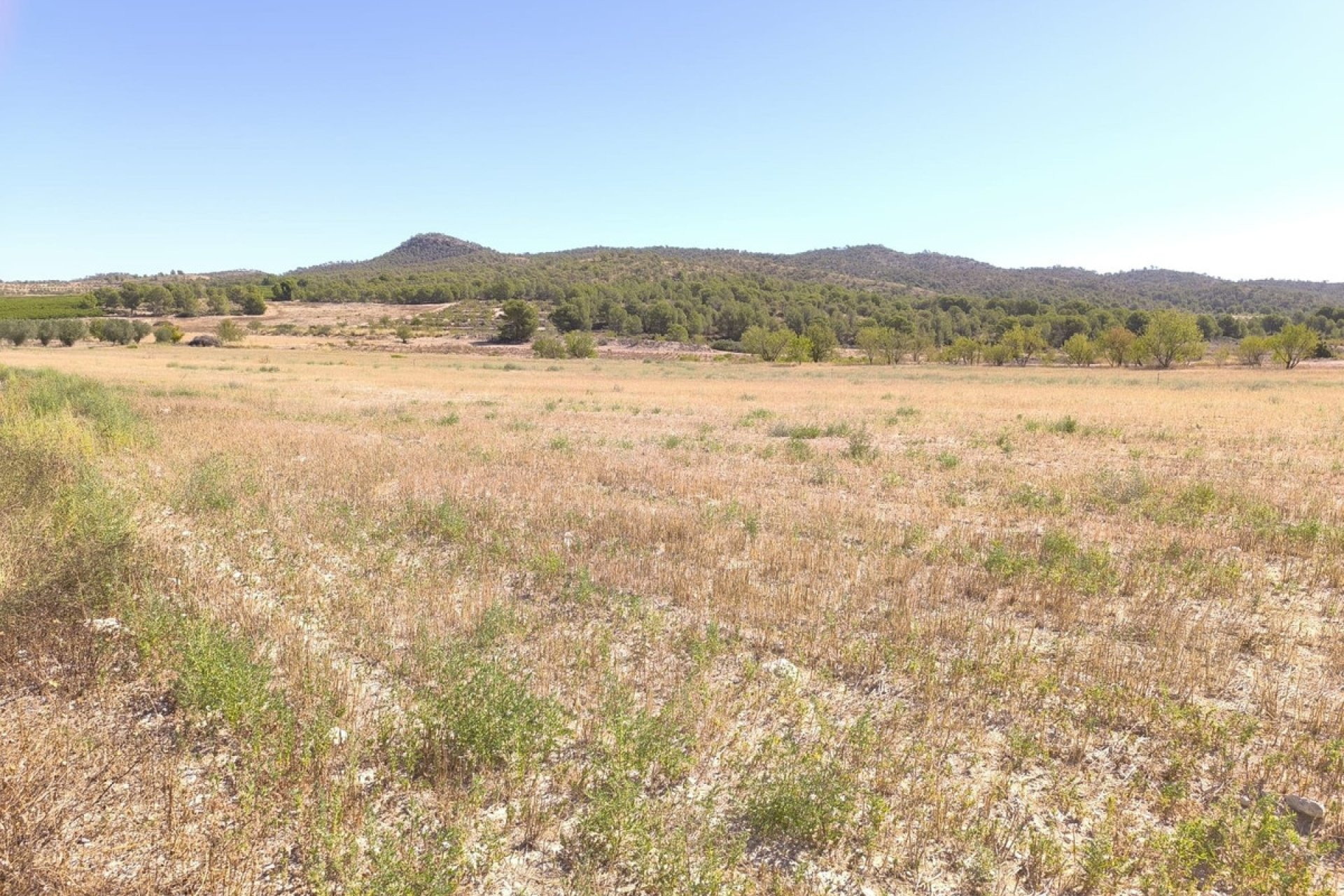 Használt ingatlanok - land -
Monóvar - Monòver - Monóvar - Monòver Centro