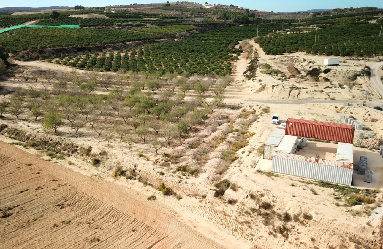 Használt ingatlanok - land -
Orihuela - Torremendo
