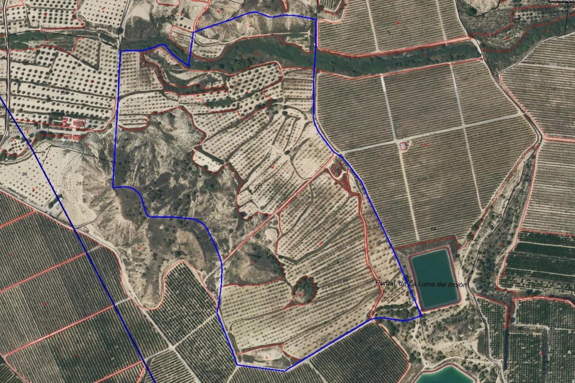 Használt ingatlanok - land -
Orihuela - Torremendo