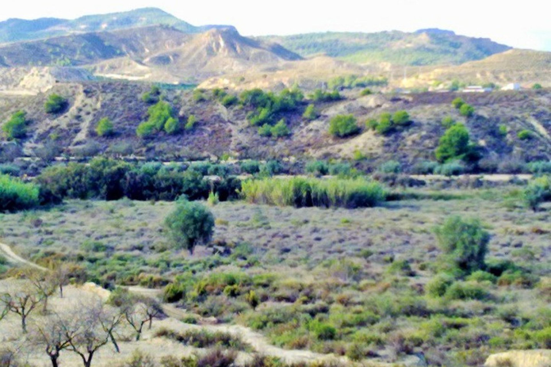 Használt ingatlanok - land -
Orihuela - Torremendo