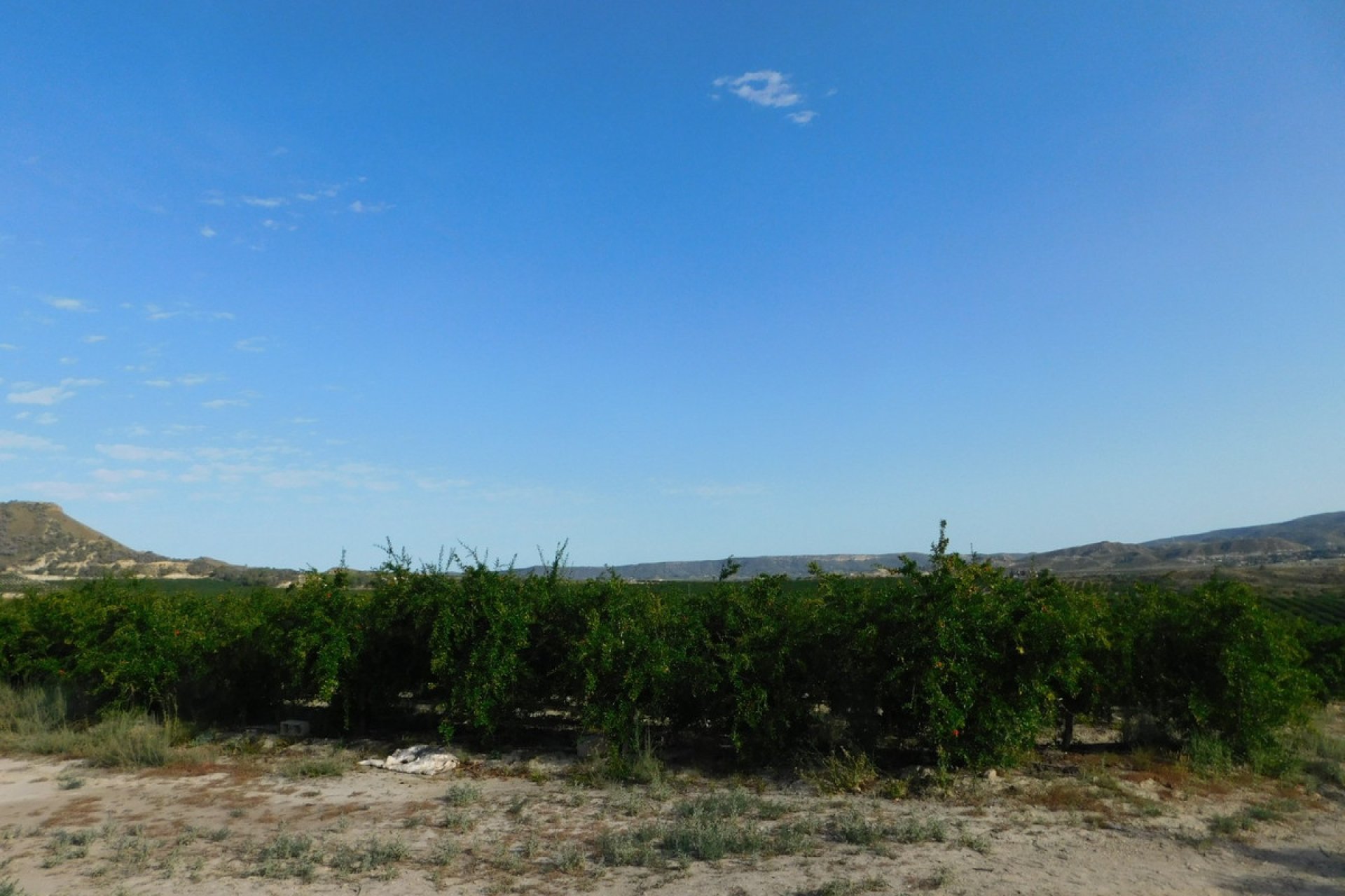 Használt ingatlanok - land -
Orihuela - Torremendo