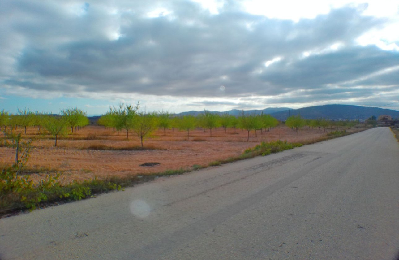 Használt ingatlanok - land -
Pinoso - Pinoso Centro