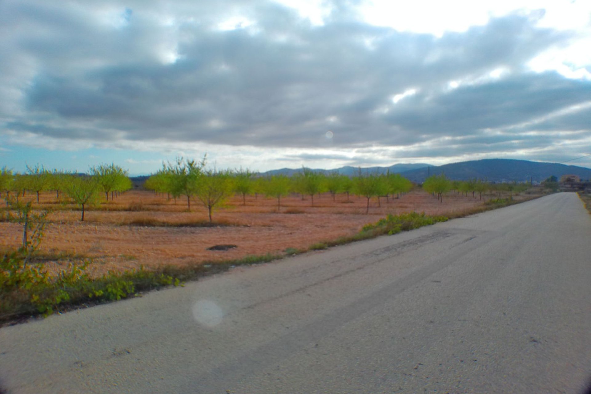 Használt ingatlanok - land -
Pinoso - Pinoso Centro