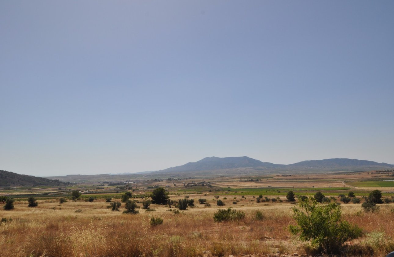 Használt ingatlanok - land -
Pinoso - Pinoso Centro