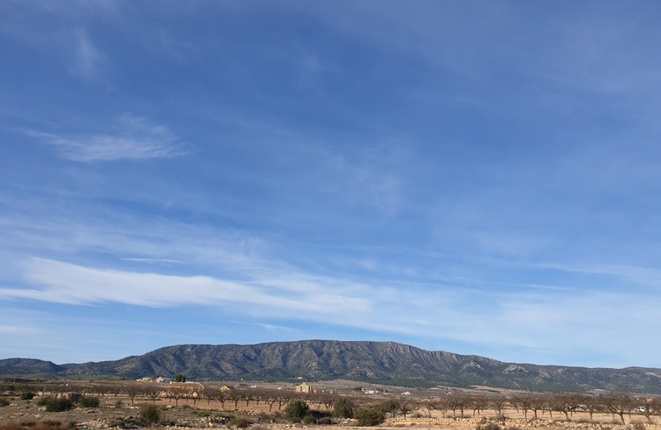 Használt ingatlanok - land -
Pinoso - Pinoso Centro