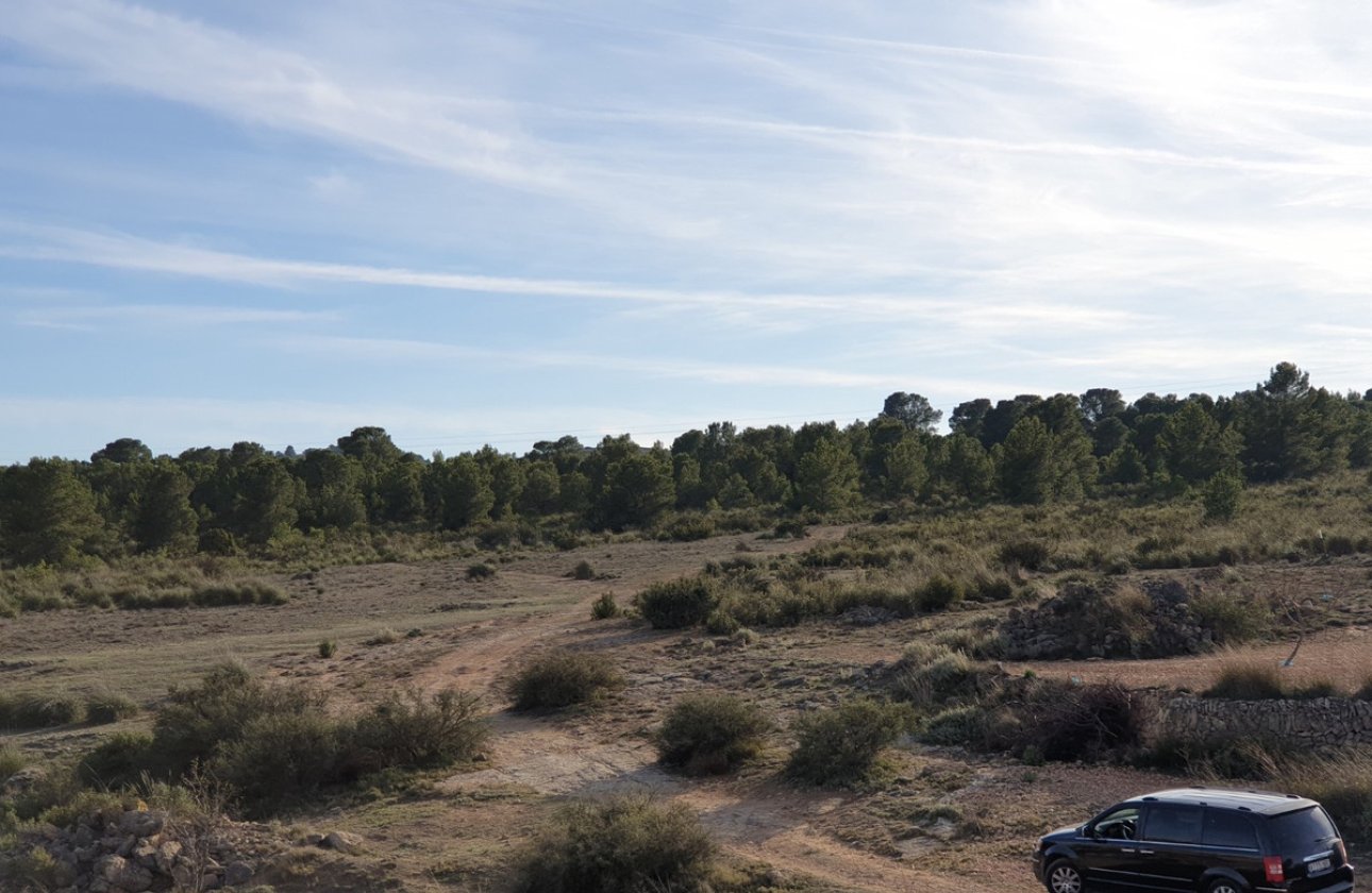 Használt ingatlanok - land -
Pinoso - Pinoso Centro