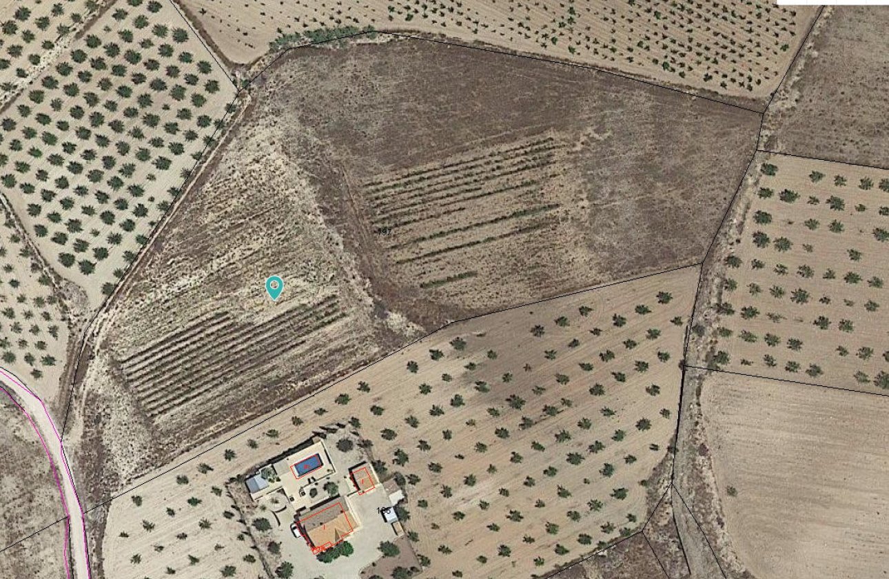 Használt ingatlanok - land -
Pinoso - Pinoso Centro