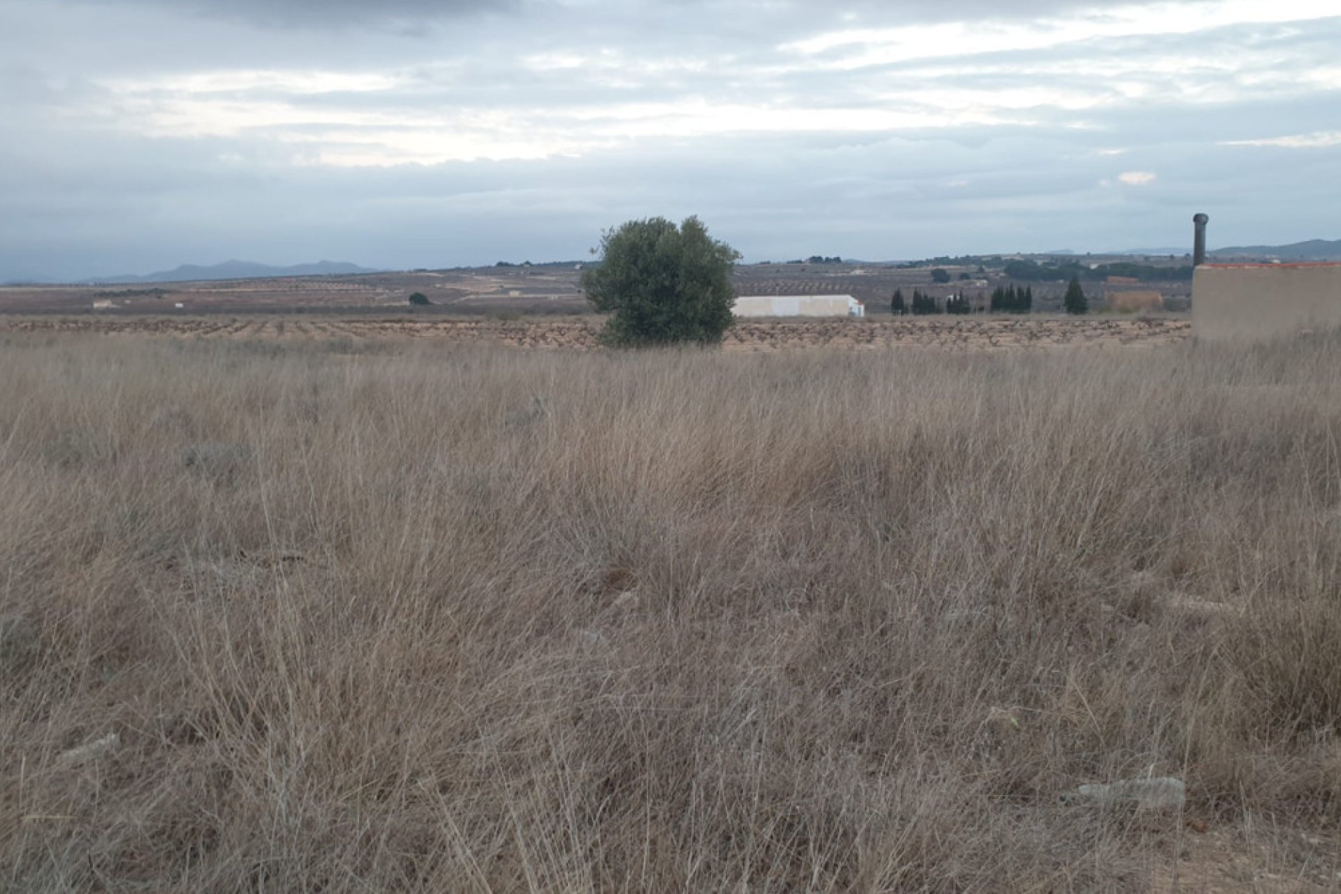 Használt ingatlanok - land -
Pinoso - Pinoso Centro