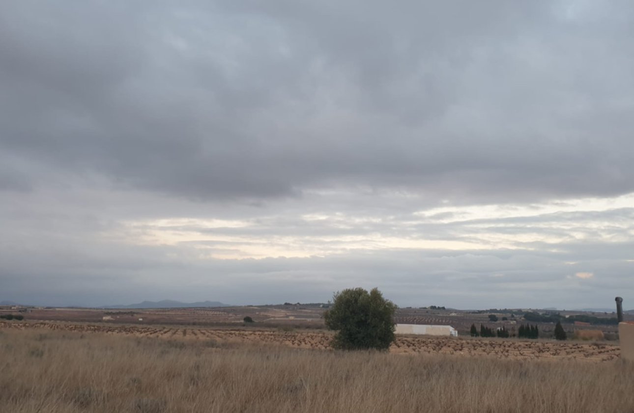 Használt ingatlanok - land -
Pinoso - Pinoso Centro
