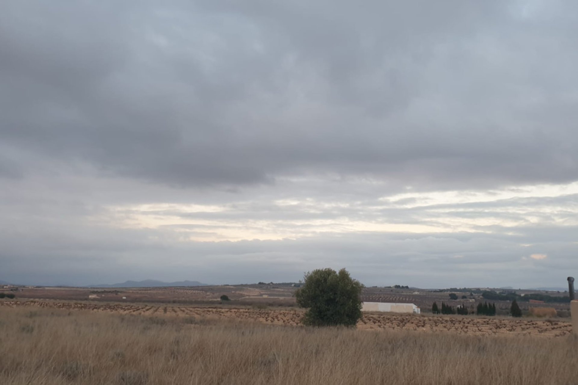 Használt ingatlanok - land -
Pinoso - Pinoso Centro