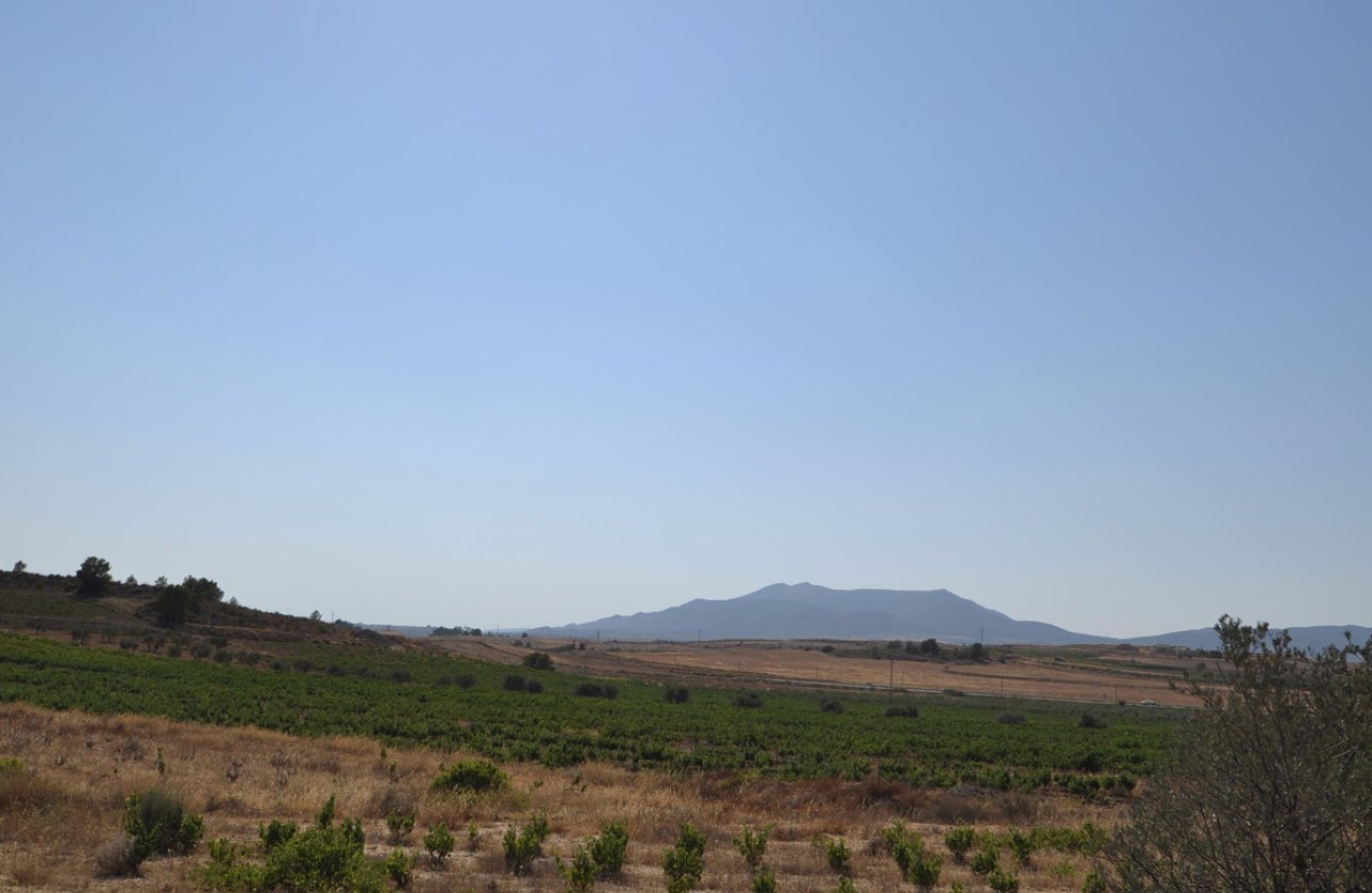 Használt ingatlanok - land -
Pinoso - Pinoso Centro