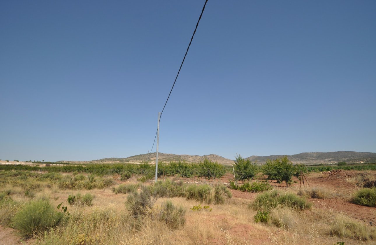 Használt ingatlanok - land -
Pinoso - Pinoso Centro