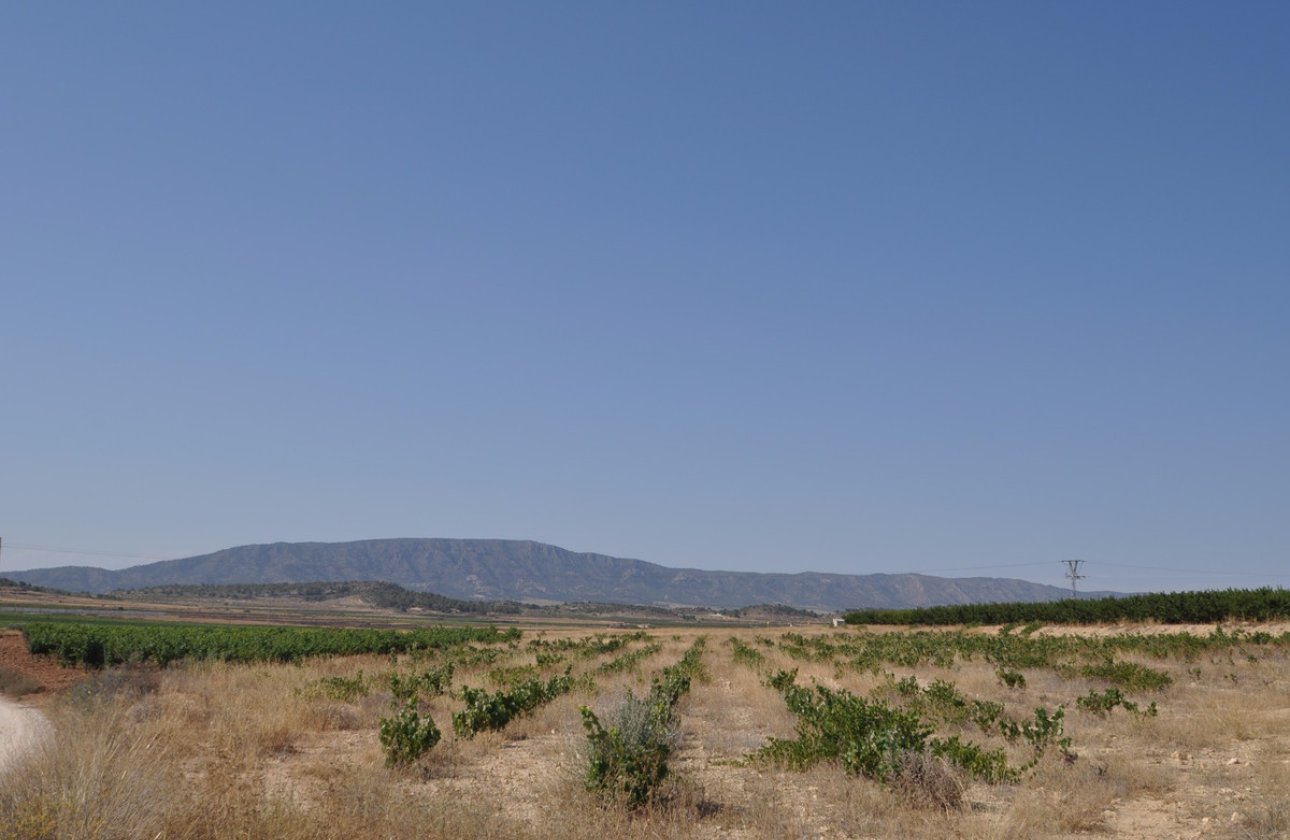 Használt ingatlanok - land -
Pinoso - Pinoso Centro