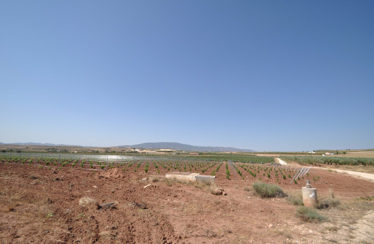 Használt ingatlanok - land -
Pinoso - Pinoso Centro