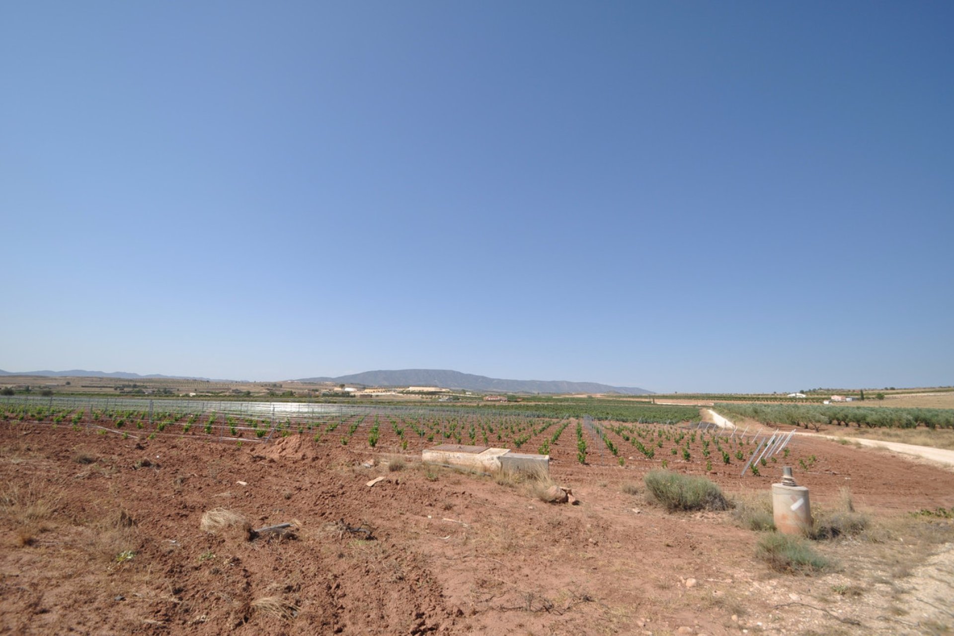 Használt ingatlanok - land -
Pinoso - Pinoso Centro