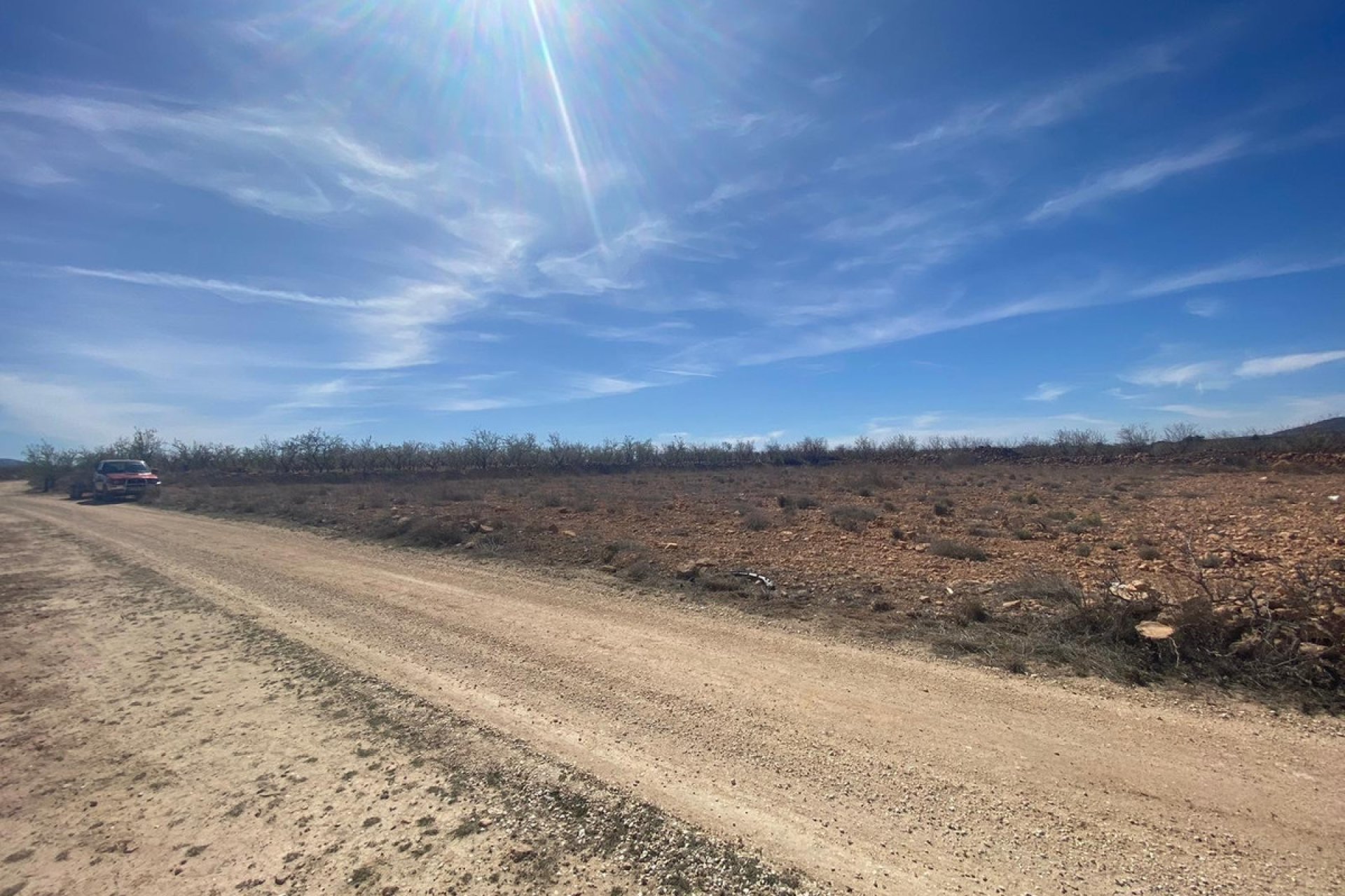 Használt ingatlanok - land -
Pinoso - Pinoso Centro