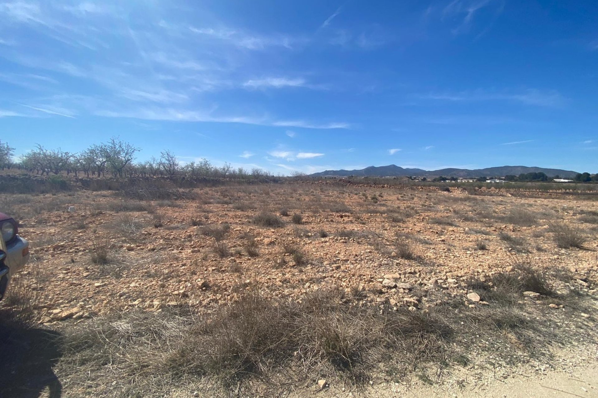 Használt ingatlanok - land -
Pinoso - Pinoso Centro