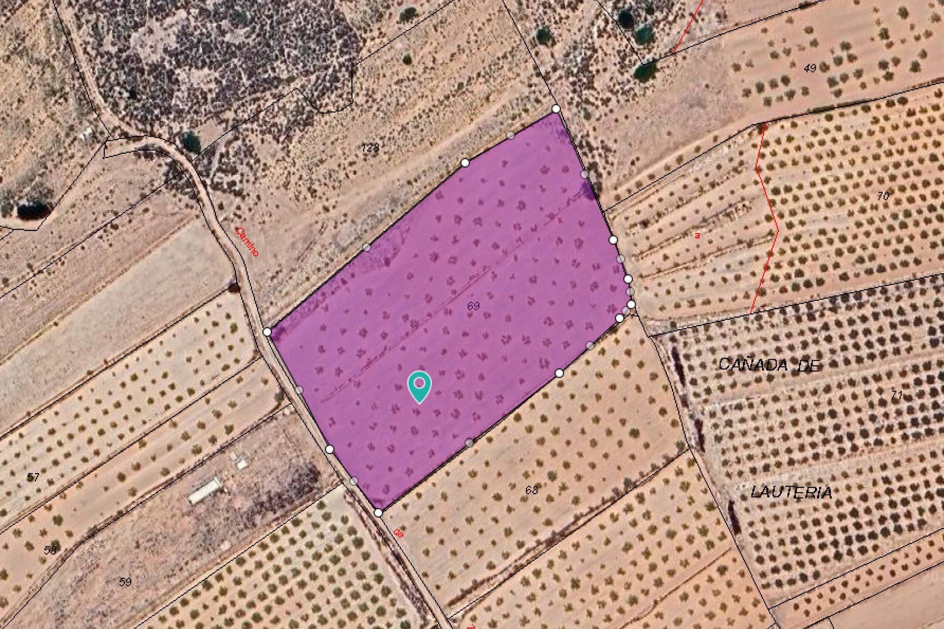 Használt ingatlanok - land -
Pinoso - Pinoso Centro