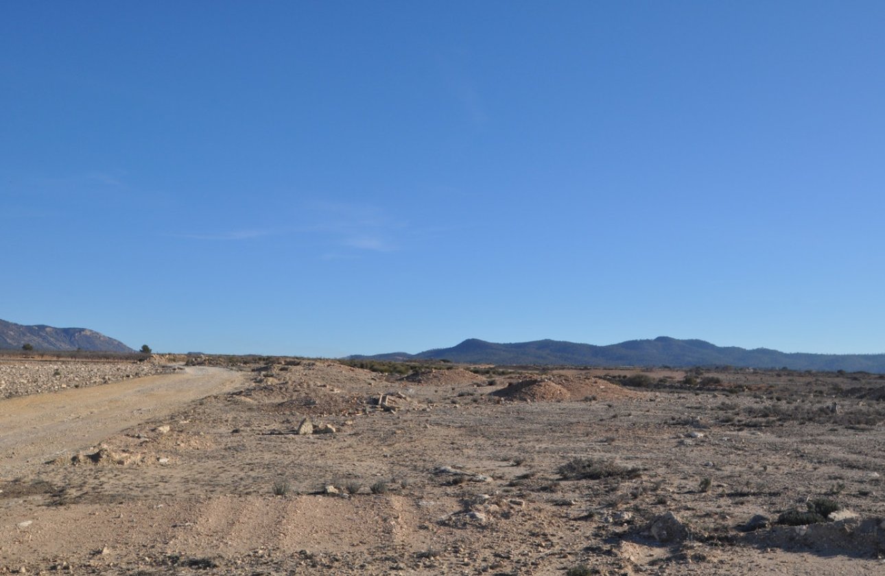 Használt ingatlanok - land -
Pinoso - Pinoso Centro