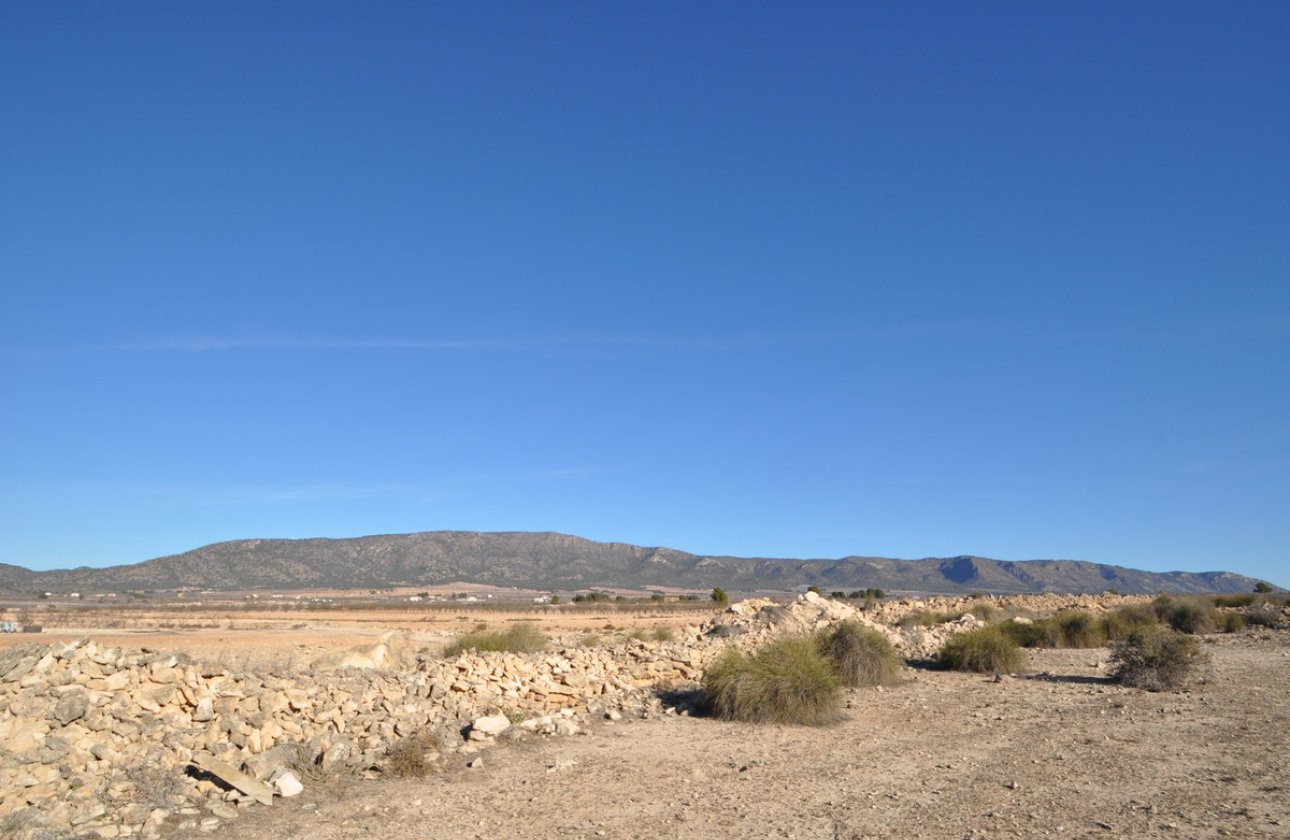 Használt ingatlanok - land -
Pinoso - Pinoso Centro