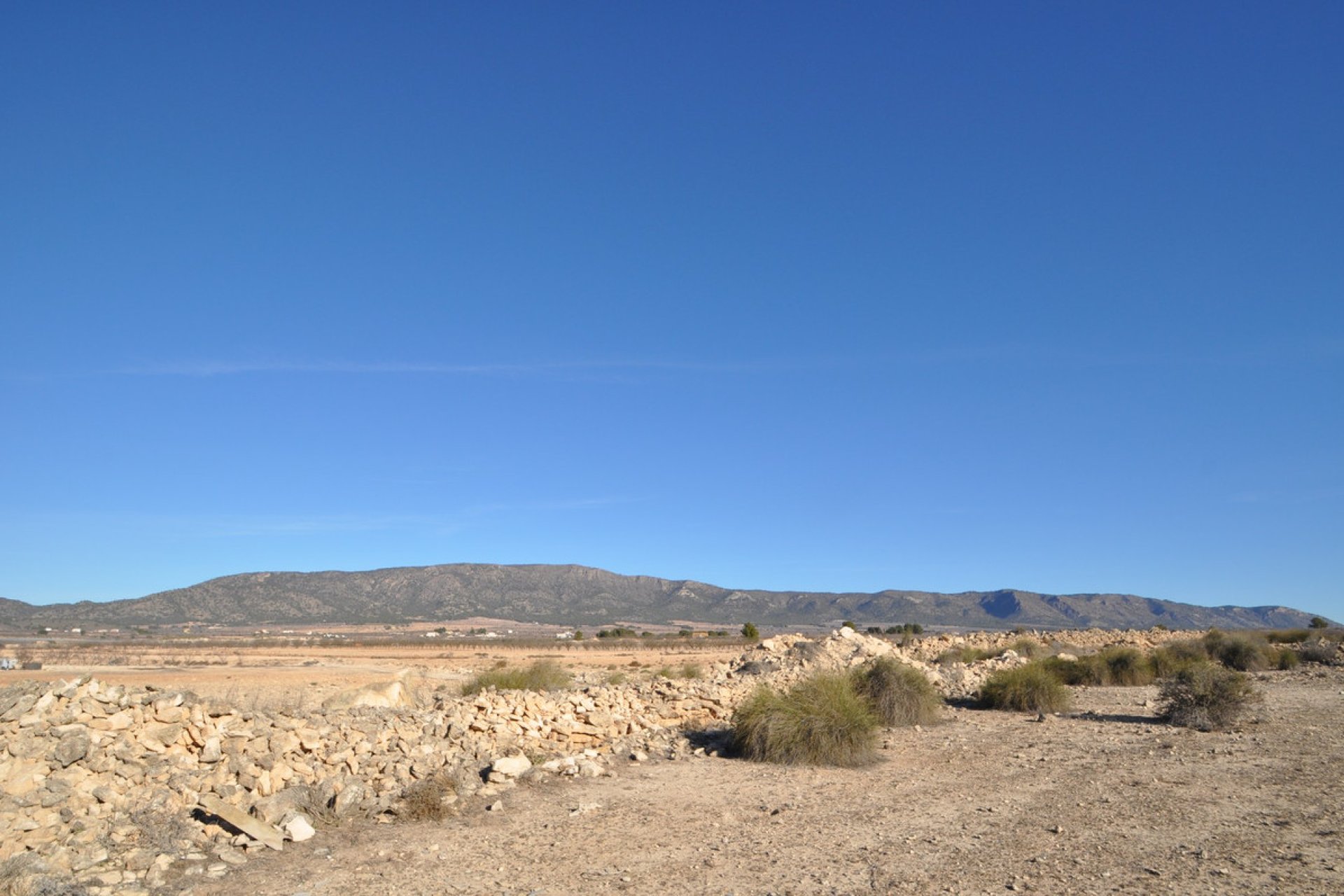 Használt ingatlanok - land -
Pinoso - Pinoso Centro