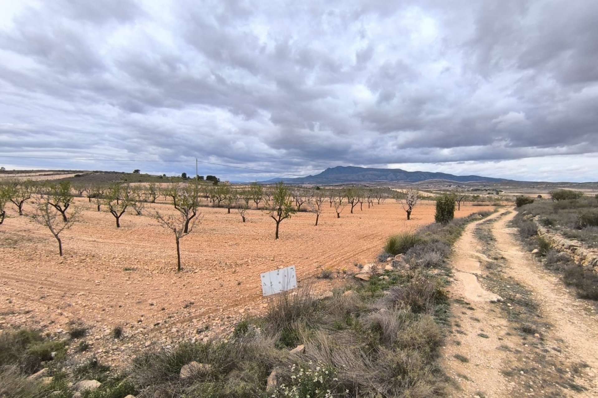 Használt ingatlanok - land -
Pinoso - Pinoso Centro