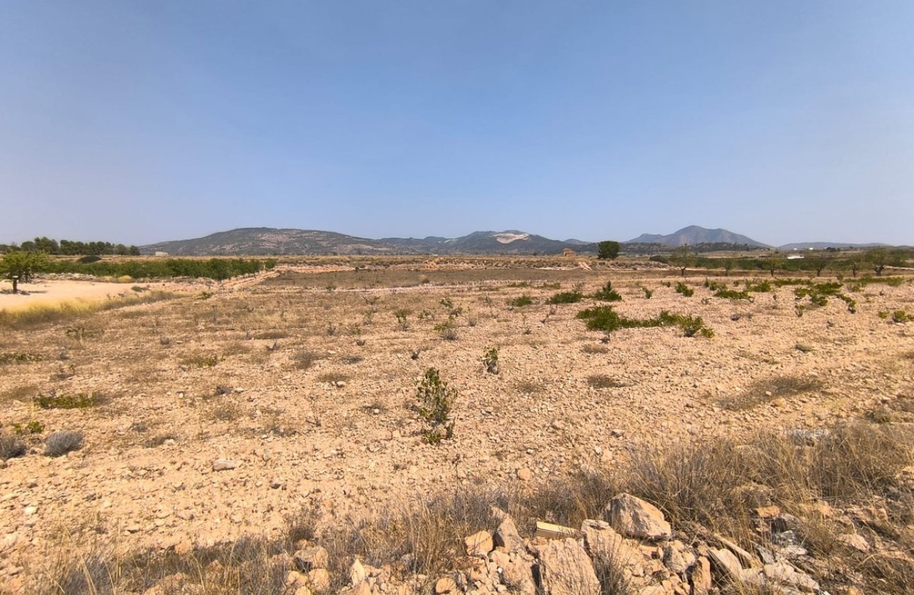 Használt ingatlanok - land -
Pinoso - Pinoso Centro