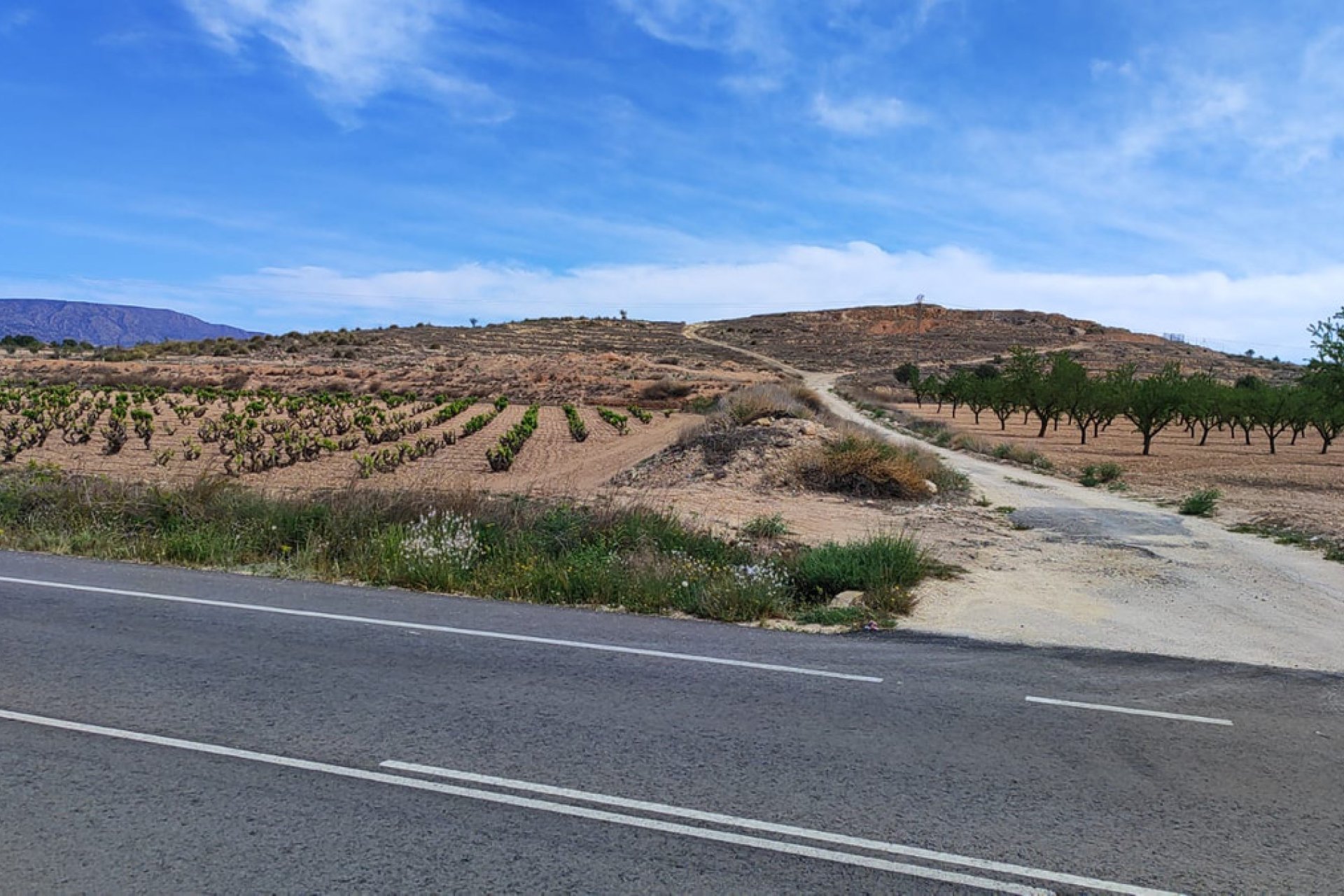 Használt ingatlanok - land -
Pinoso - Pinoso Centro