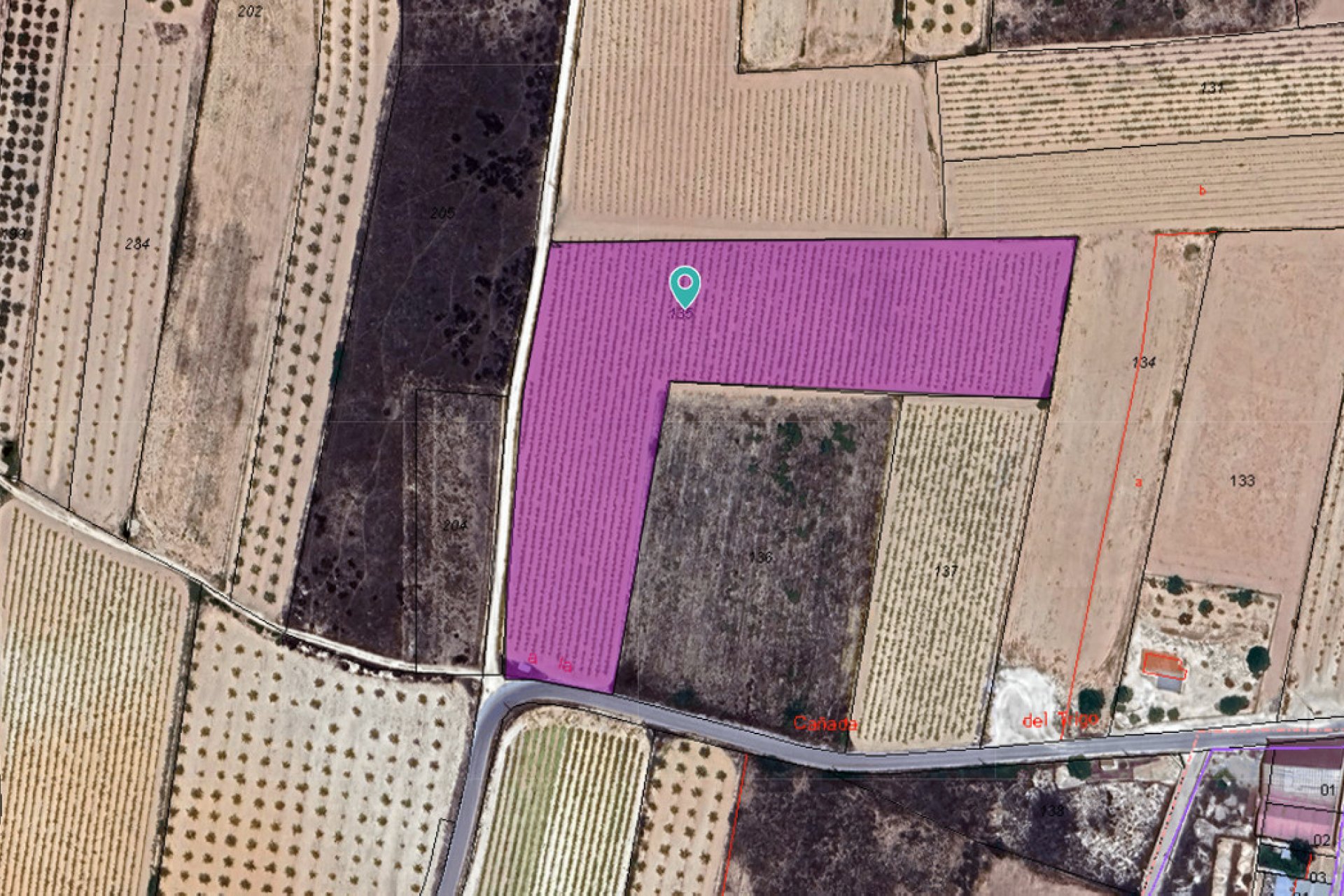 Használt ingatlanok - land -
Pinoso - Pinoso Centro