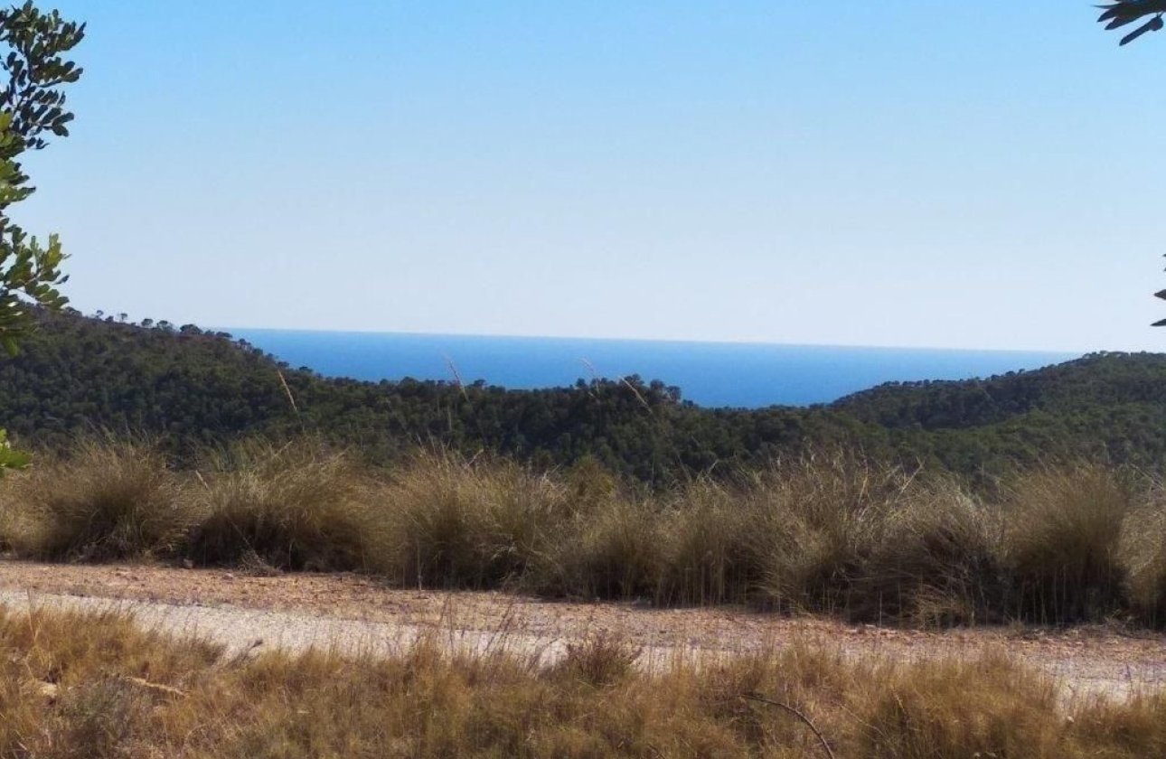 Használt ingatlanok - land -
Relleu - Relleu Centro