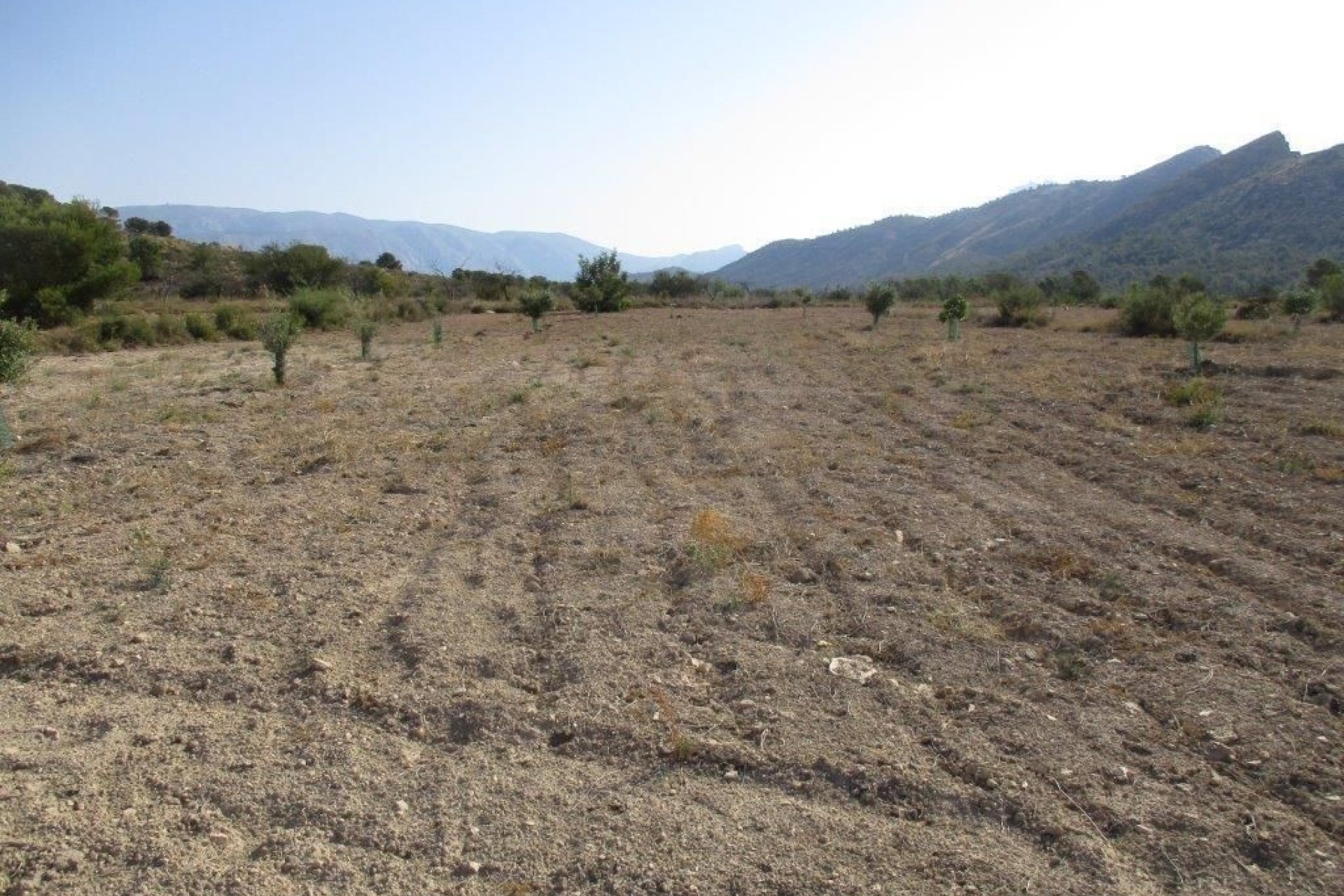 Használt ingatlanok - land -
Relleu - Relleu Centro