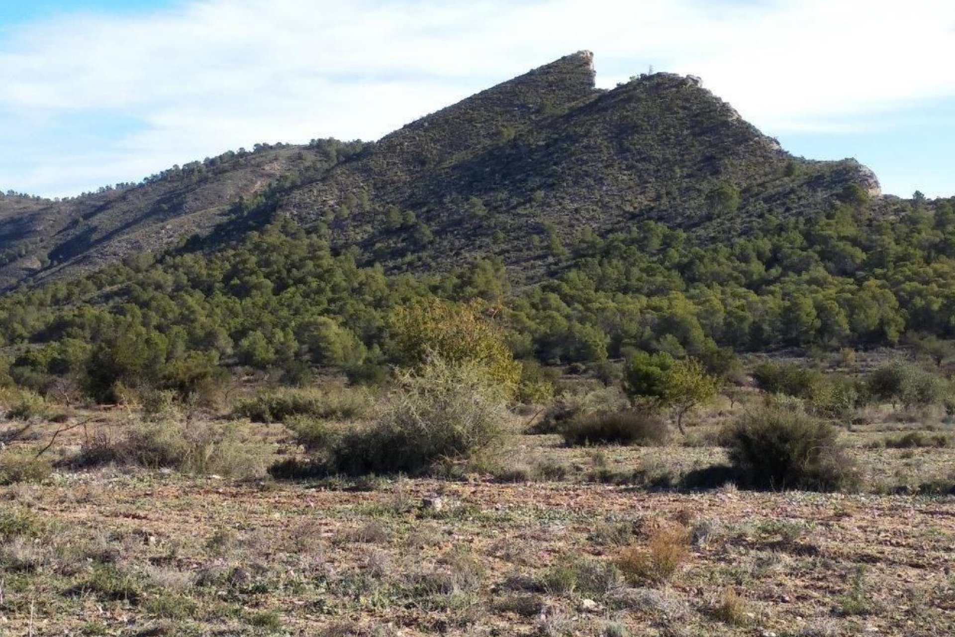 Használt ingatlanok - land -
Relleu - Relleu Centro