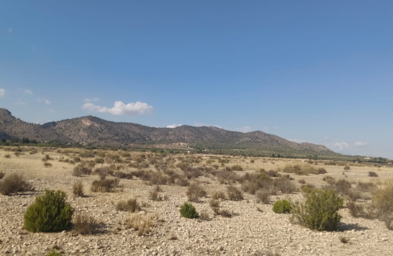 Használt ingatlanok - land -
Salinas - Salinas Centro