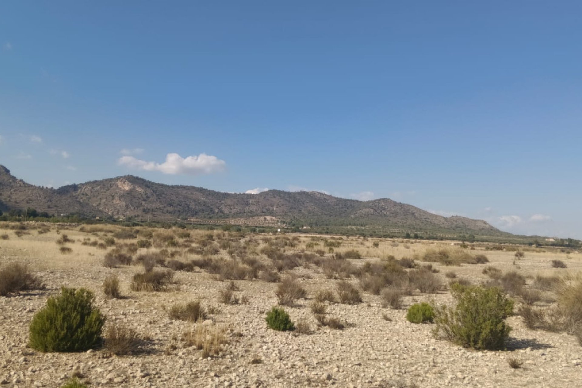 Használt ingatlanok - land -
Salinas - Salinas Centro