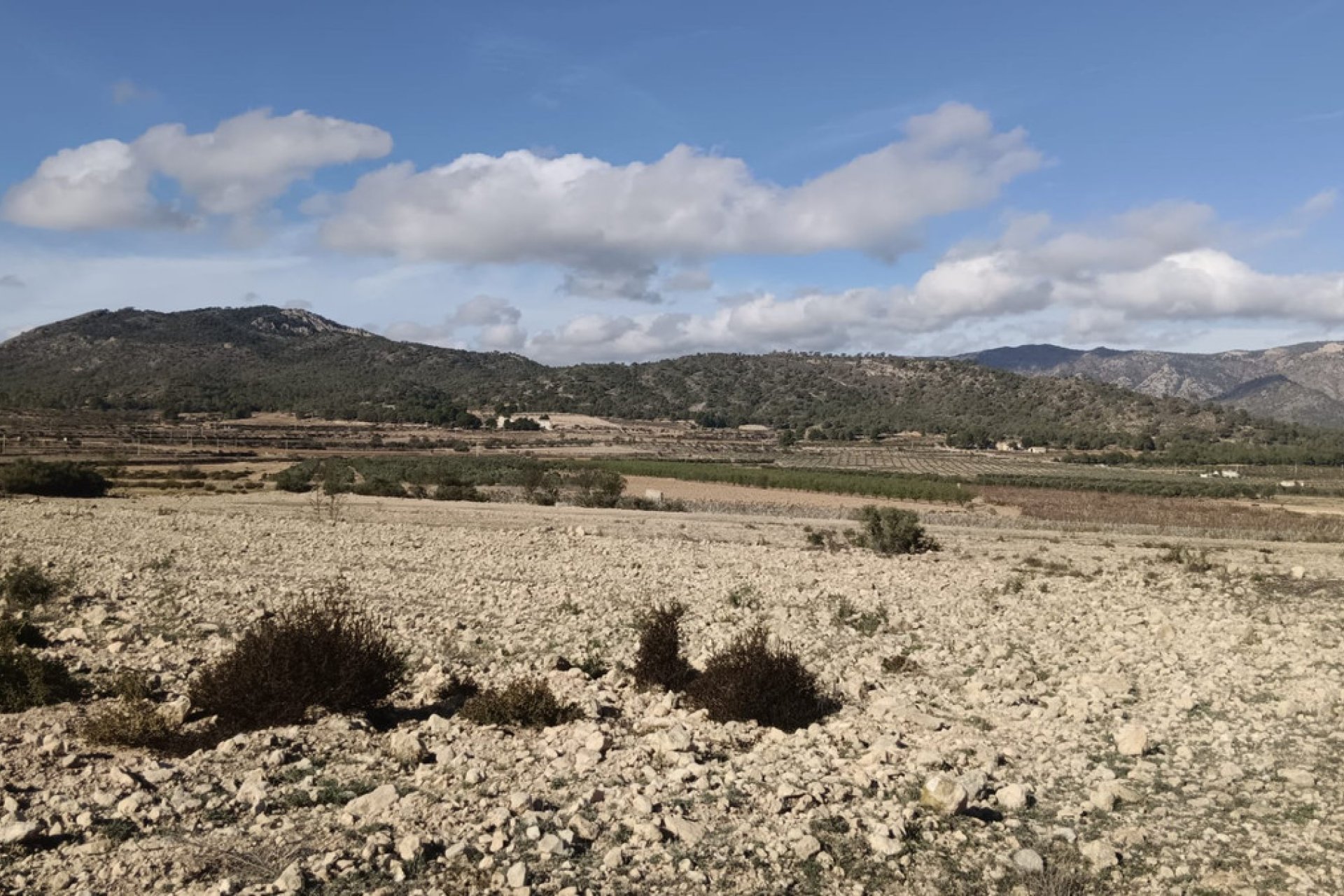Használt ingatlanok - land -
Salinas - Salinas Centro
