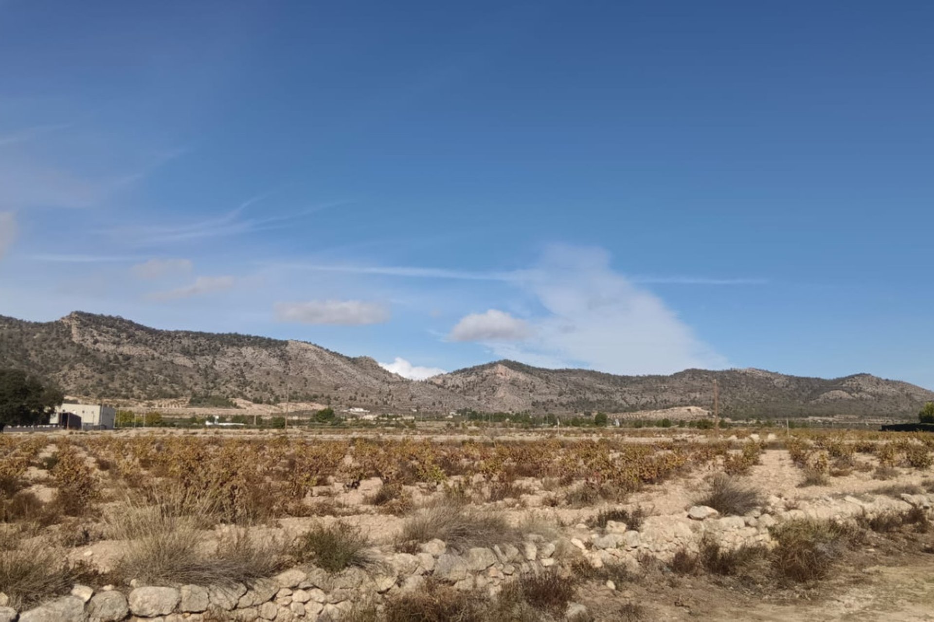 Használt ingatlanok - land -
Salinas - Salinas Centro