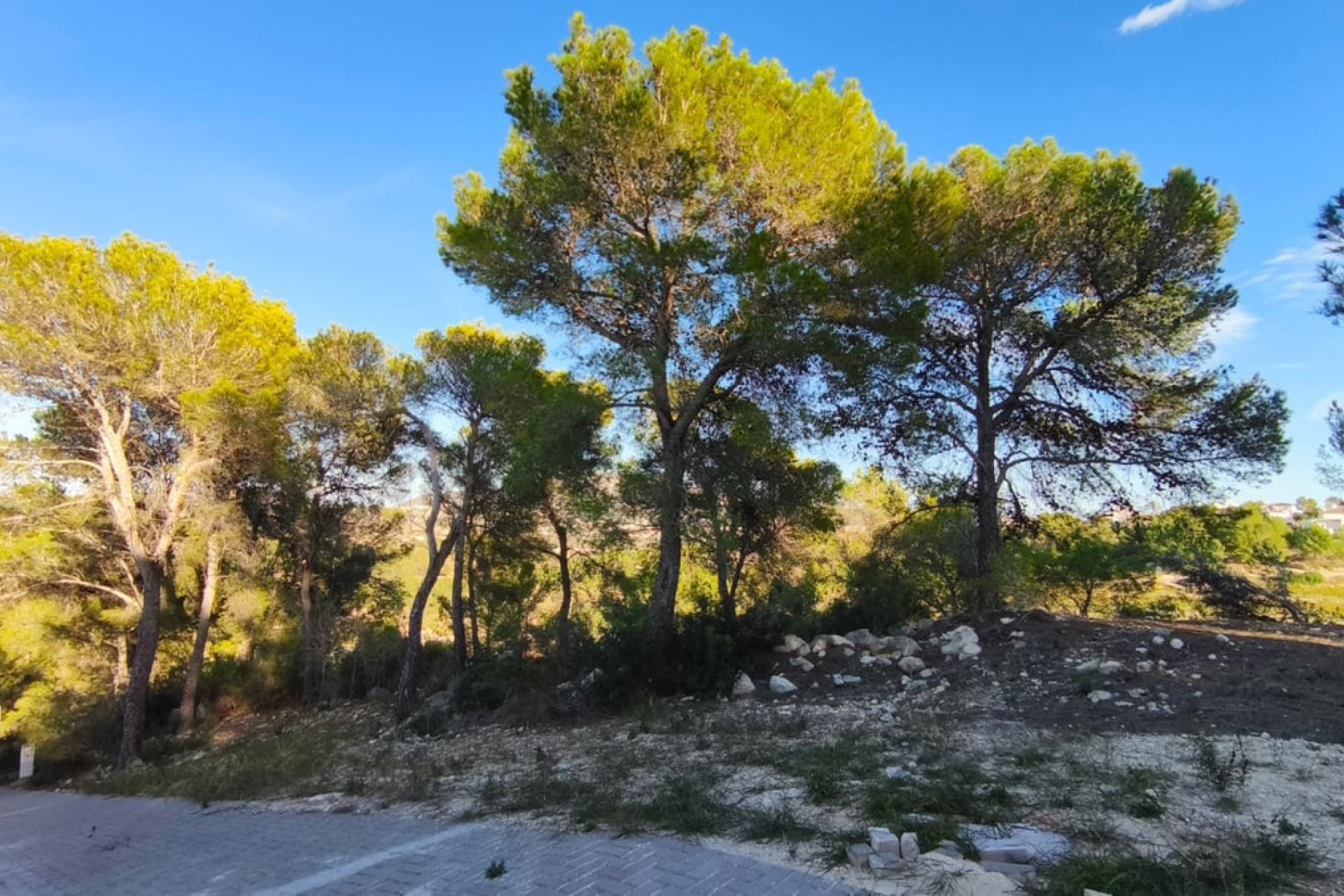 Használt ingatlanok - land -
Teulada - Teulada Centro