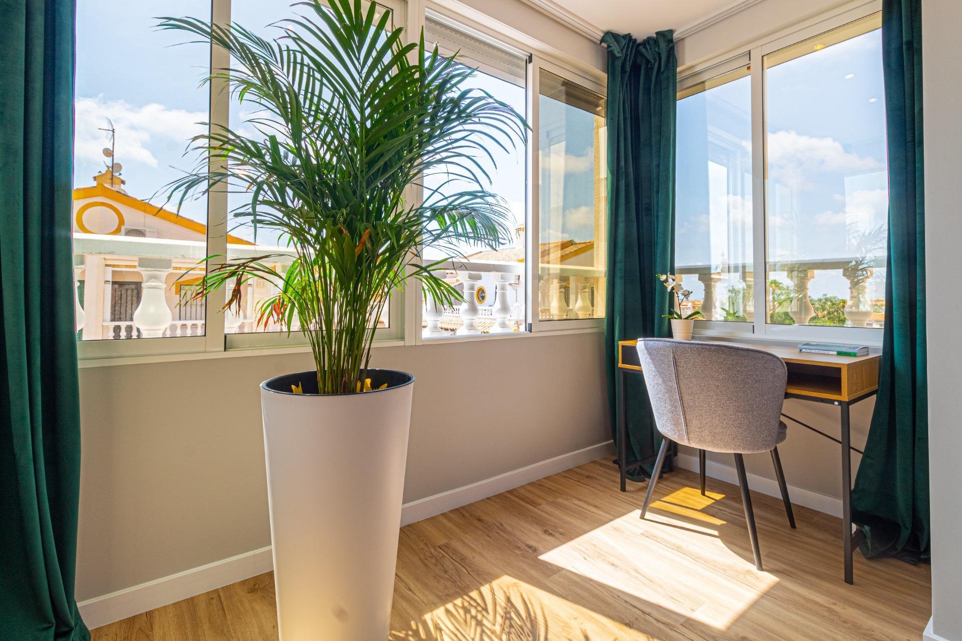 Használt ingatlanok - Terraced house -
Torrevieja - Los altos