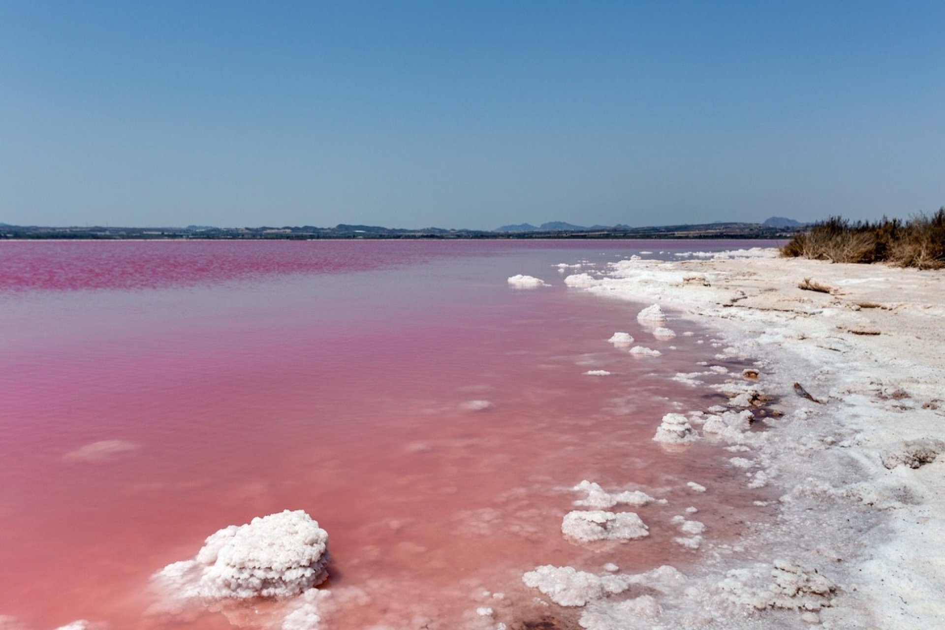 Használt ingatlanok - Town House -
Torrevieja - Torrevieja Centro