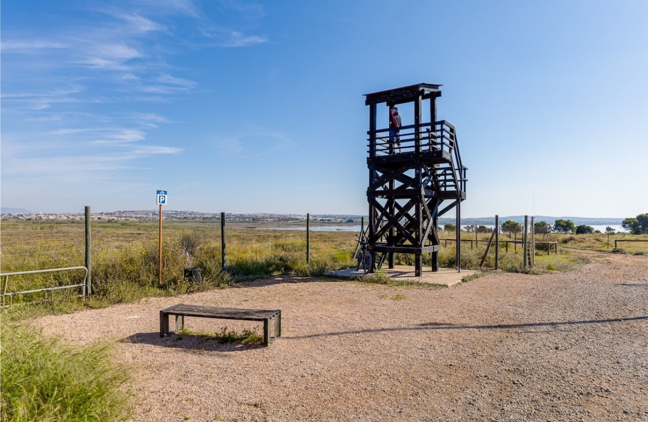 Használt ingatlanok - Town House -
Torrevieja - Torrevieja Centro