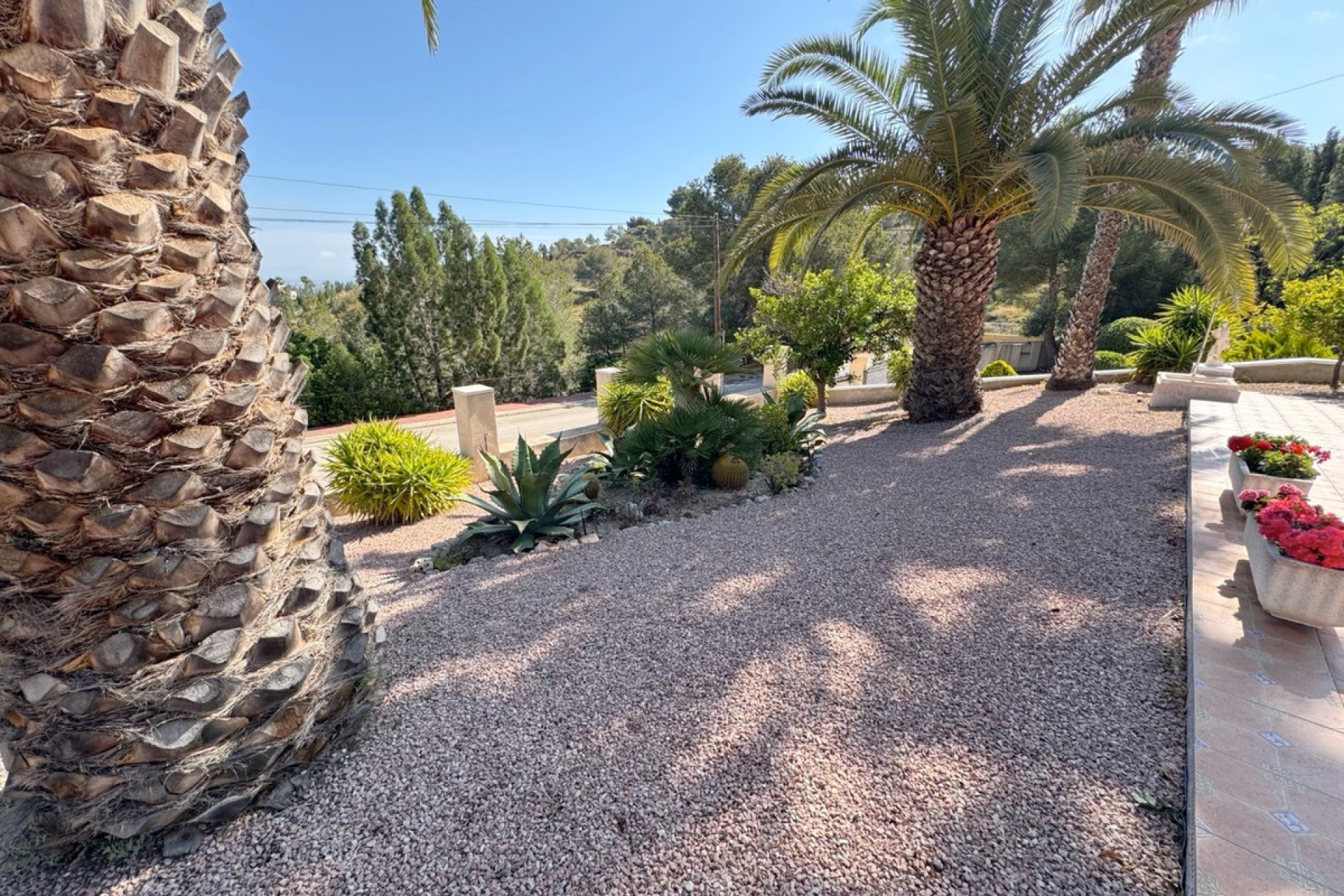 Használt ingatlanok - Villa -
Algorfa - Algorfa Centro