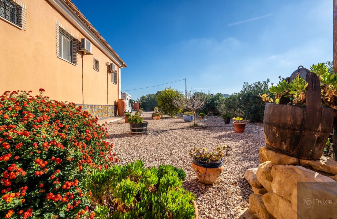 Használt ingatlanok - Villa -
Benejúzar - Benejuzar Centro