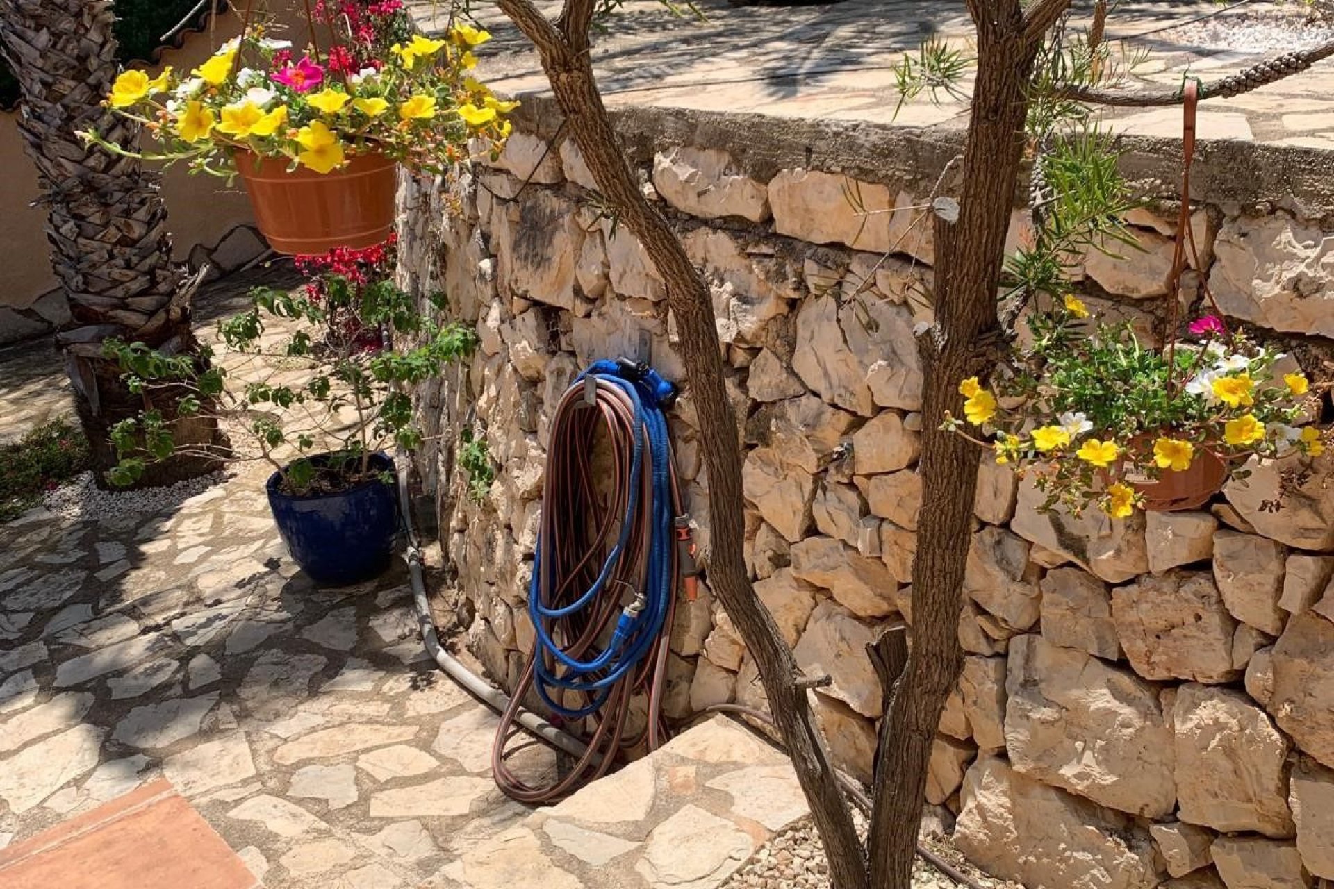 Használt ingatlanok - Villa -
Calpe - Calpe Centro