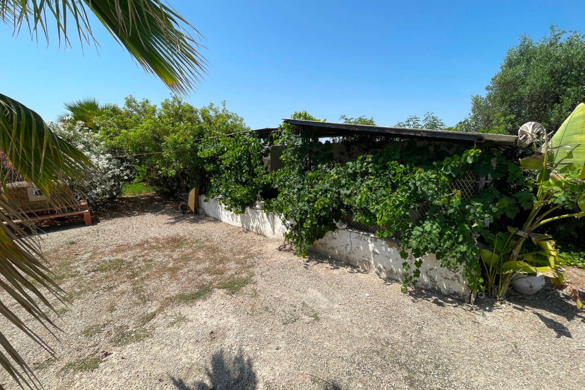 Használt ingatlanok - Villa -
Daya Nueva - Daya Nueva Centro