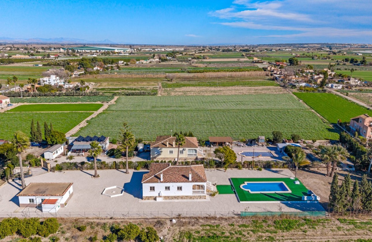 Használt ingatlanok - Villa -
Dolores - Dolores Centro