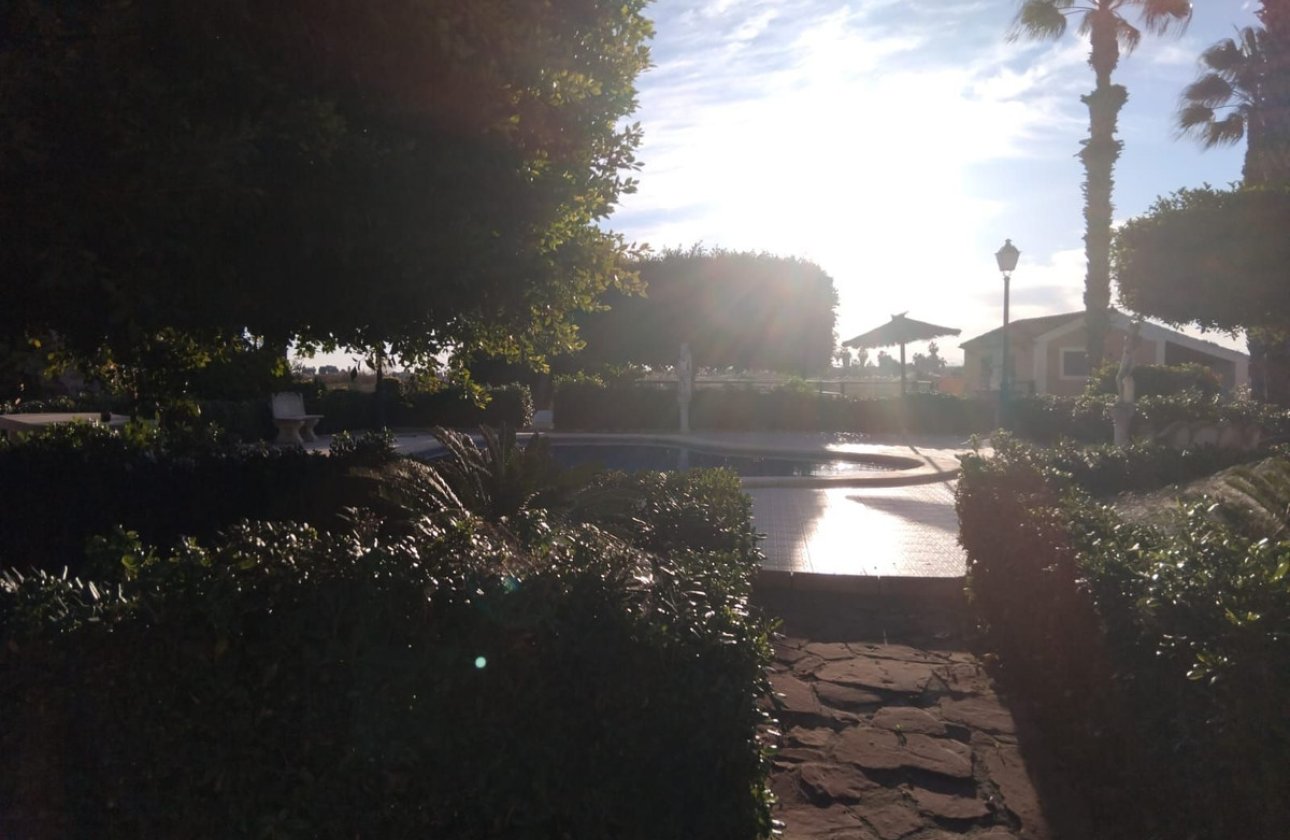 Használt ingatlanok - Villa -
Dolores - Dolores Centro